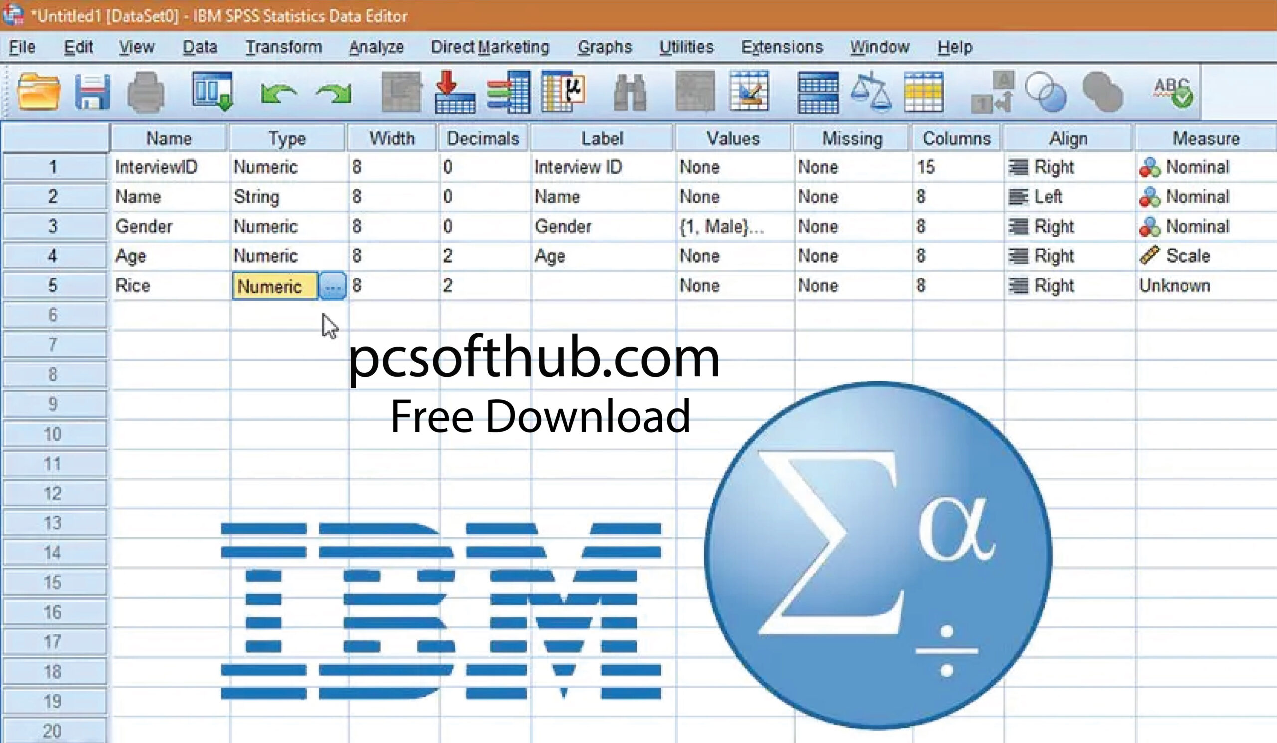 IBM SPSS 25 Free Download