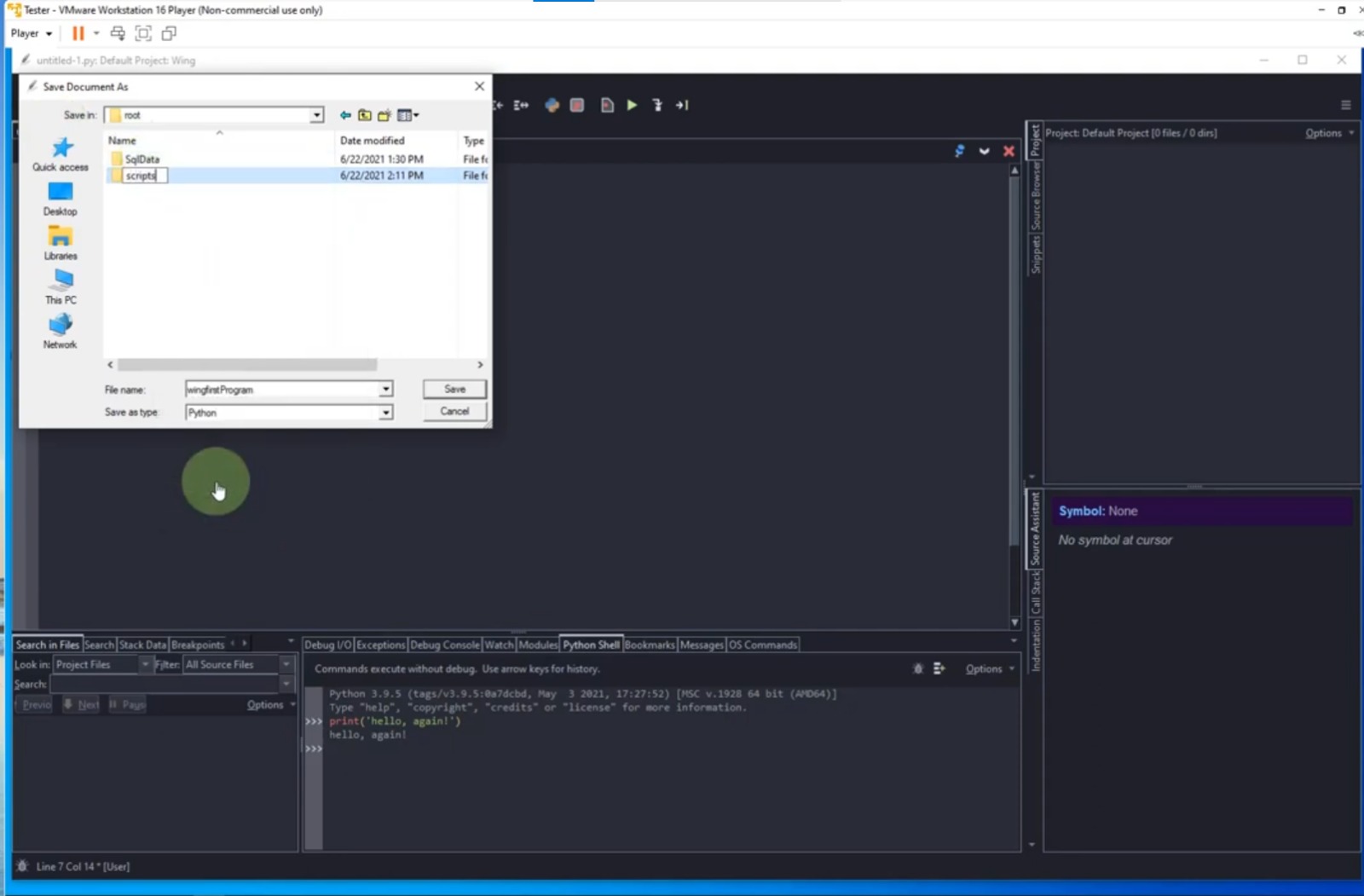 Wing IDE Pro 10