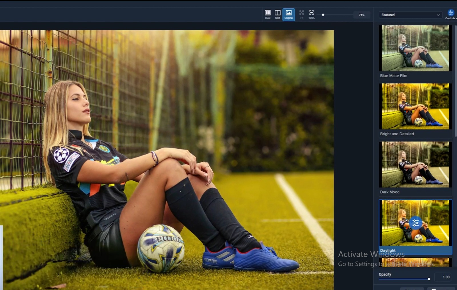 Topaz Adjust AI 2025